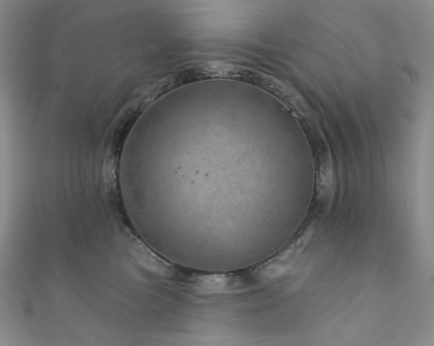 X0000111870473200907231516