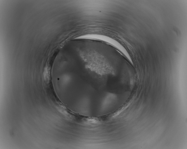 X0000111870475200907231516