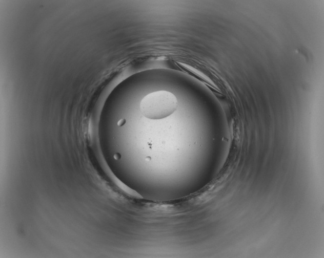 X0000111870476200907231516