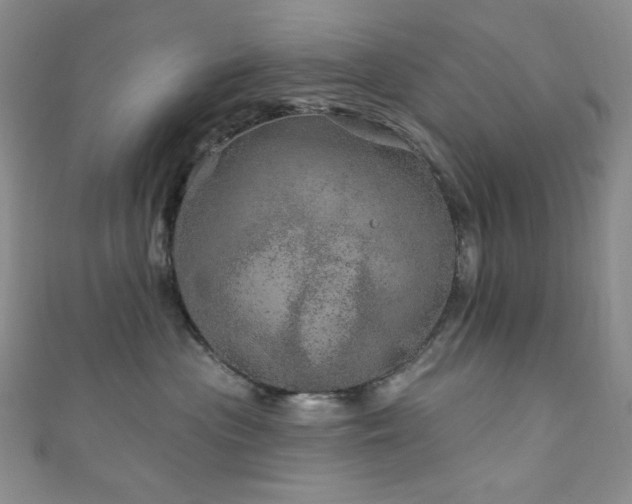 X0000111870477200907231516