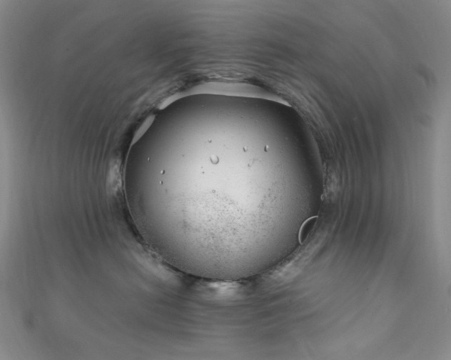 X0000111870478200907231516