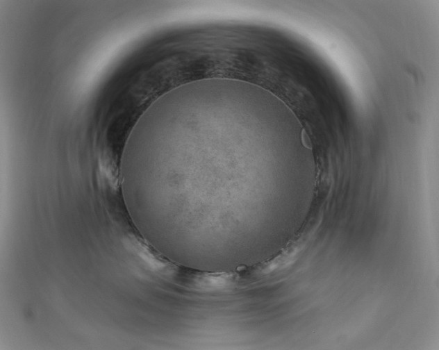 X0000111870479200907231516