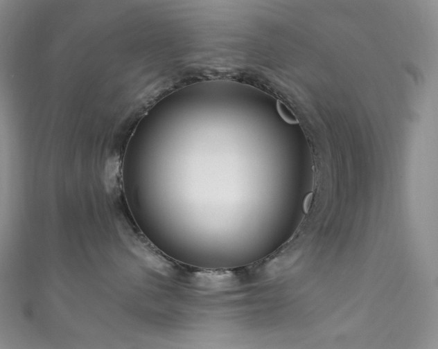 X0000111870480200907231516
