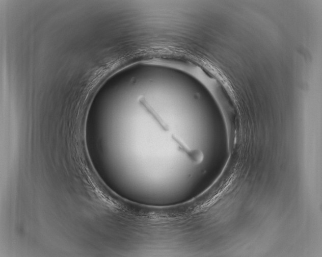 X0000111870481200907231516
