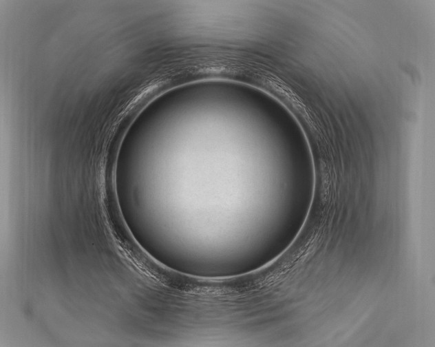 X0000111870482200907231516