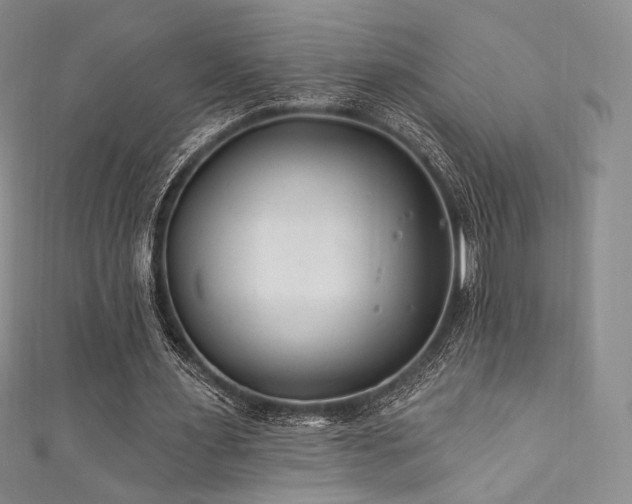 X0000111870483200907231516