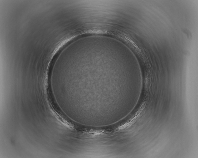 X0000111870484200907231515