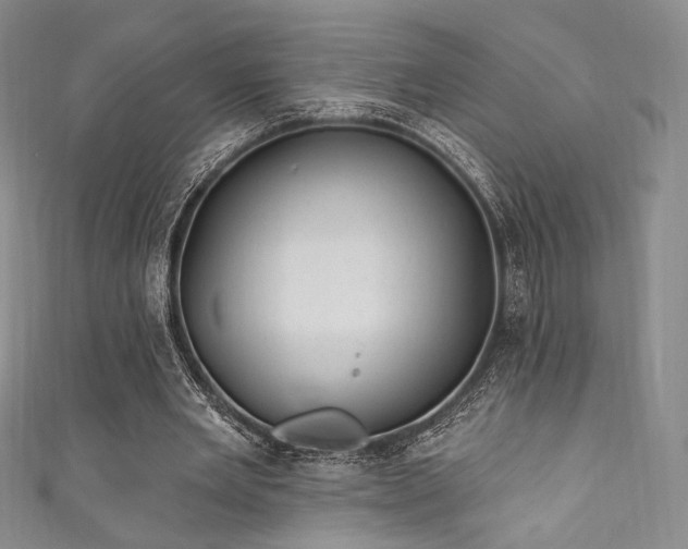 X0000111870485200907231515