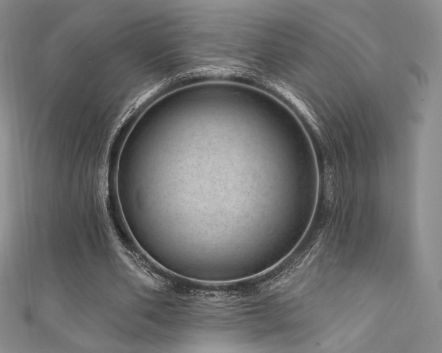 X0000111870486200907231515
