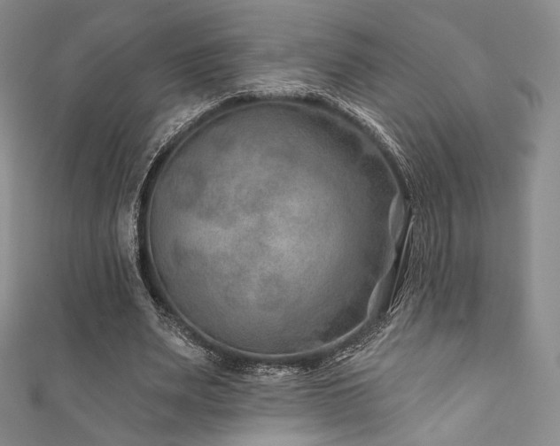 X0000111870487200907231515
