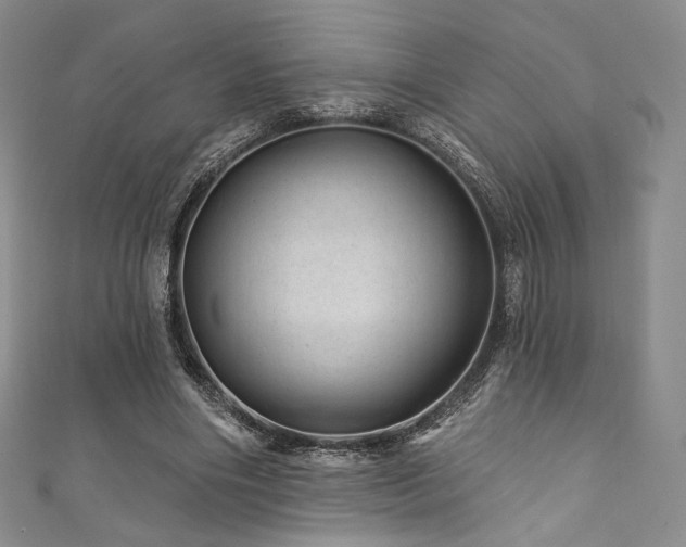 X0000111870490200907231515