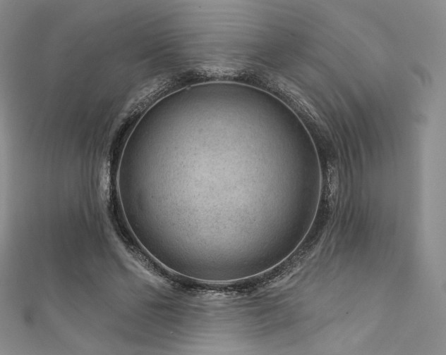 X0000111870494200907231515