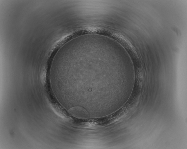 X0000111870496200907231515
