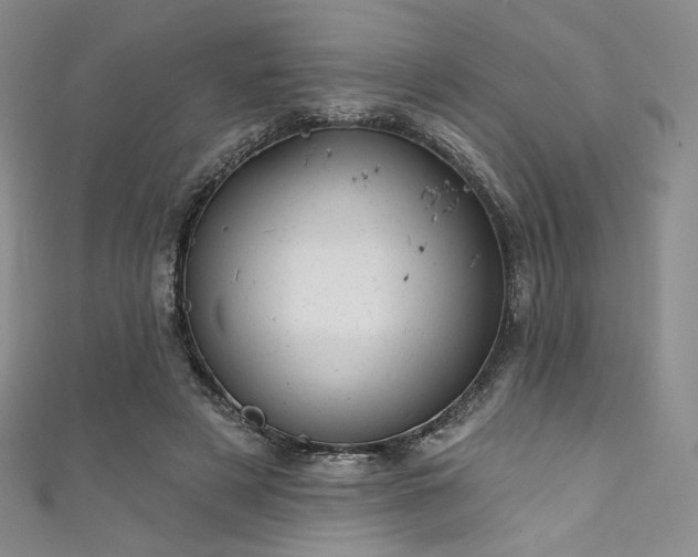 X0000111870497200907231515