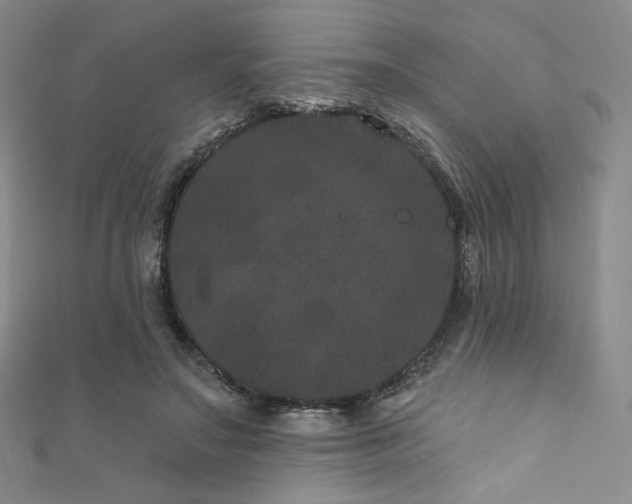 X0000111870499200907231515