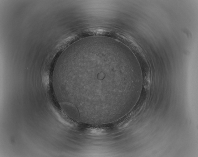 X0000111870500200907231515