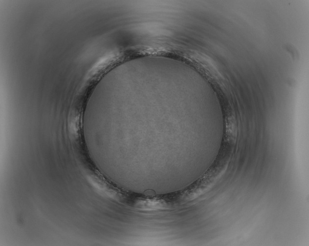 X0000111870503200907231515