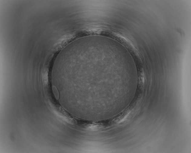 X0000111870504200907231515