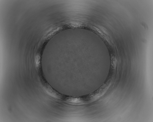 X0000111870507200907231515