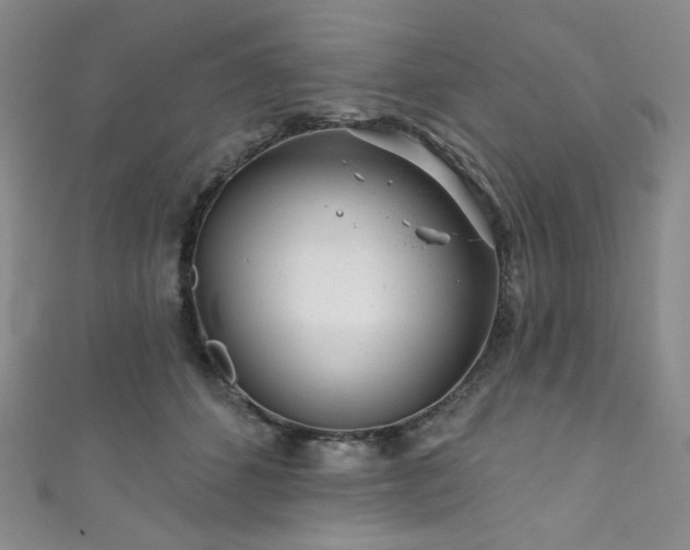X0000111870512200907231515