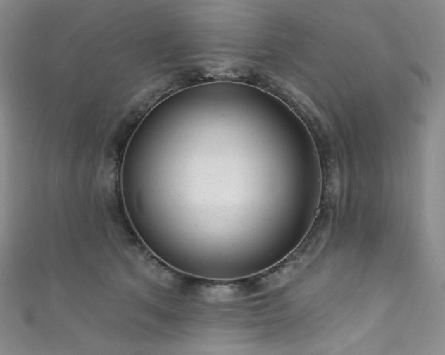 X0000111870513200907231515