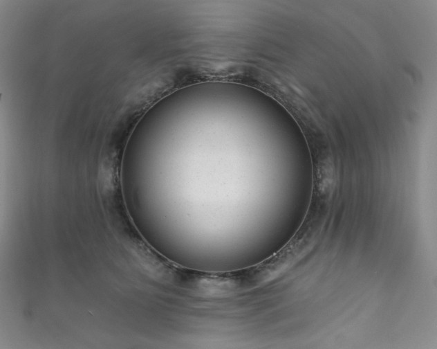 X0000111870515200907231515