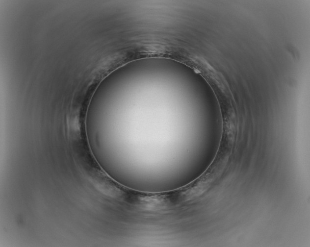 X0000111870516200907231515