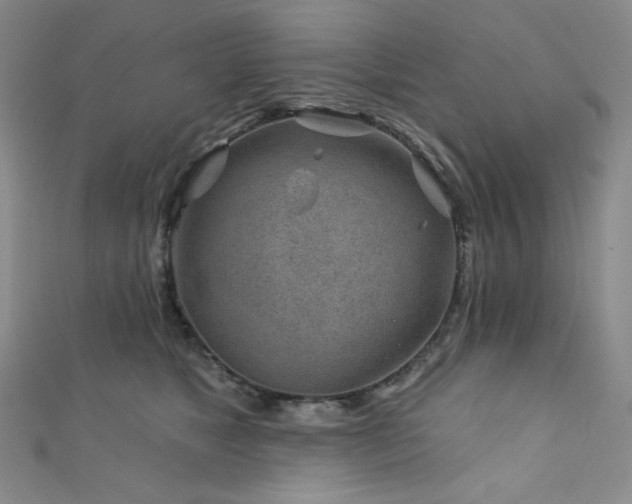 X0000111870517200907231515