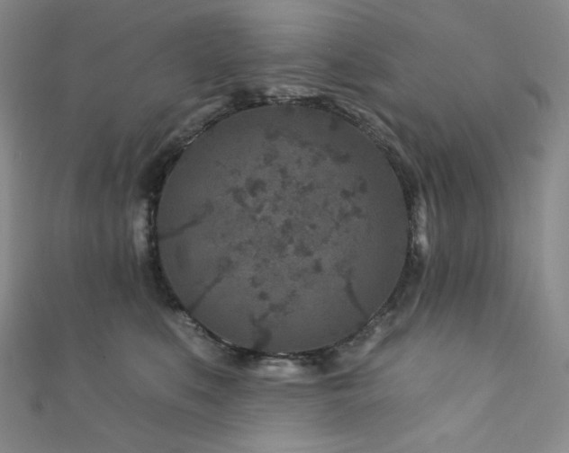 X0000111870519200907231515