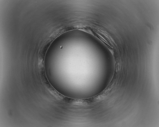 X0000111870521200907231515