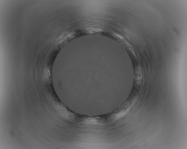 X0000111870523200907231515