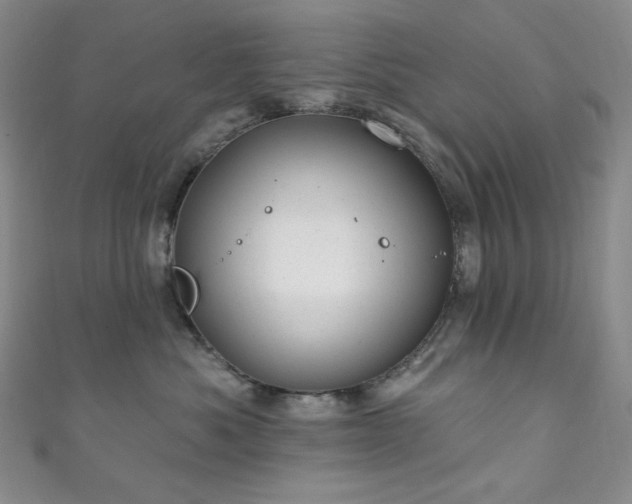 X0000111870525200907231515