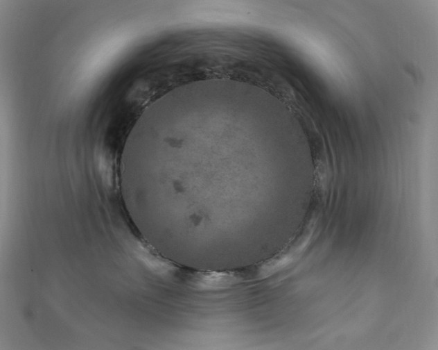 X0000111870527200907231515