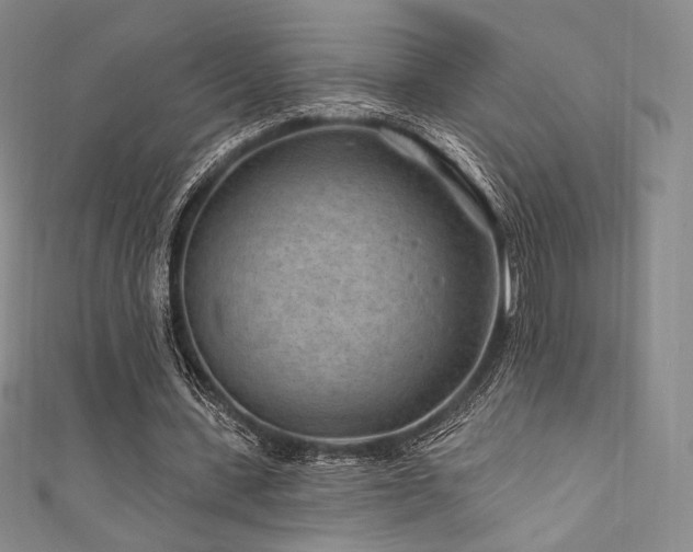 X0000111870531200907231514