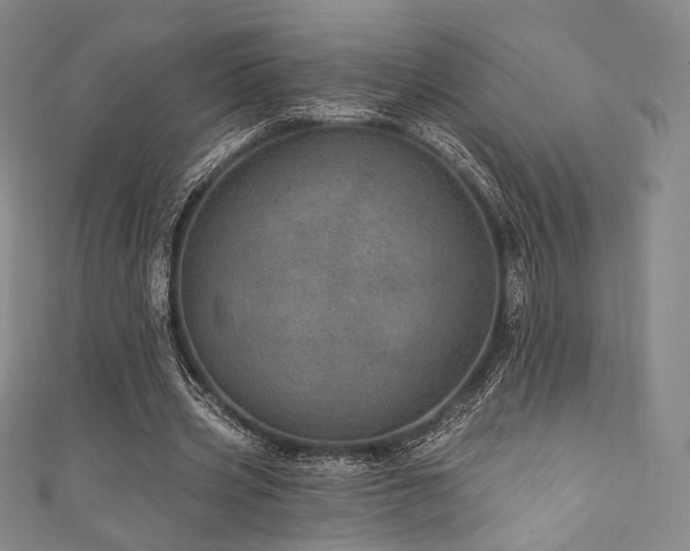 X0000111870533200907231514
