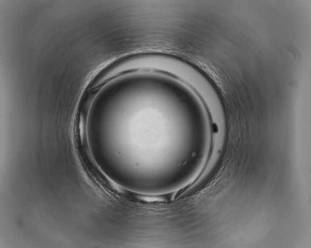 X0000111870536200907231514