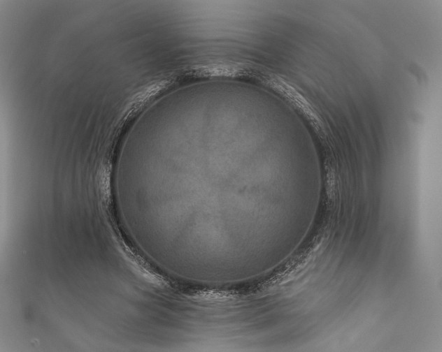 X0000111870537200907231514