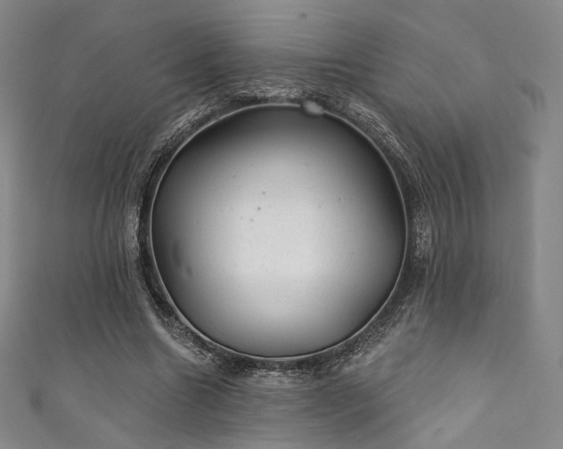 X0000111870538200907231514