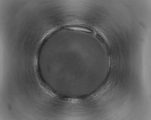 X0000111870539200907231514
