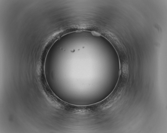 X0000111870540200907231514
