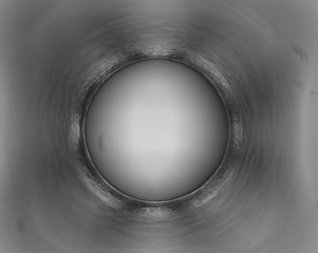 X0000111870541200907231514