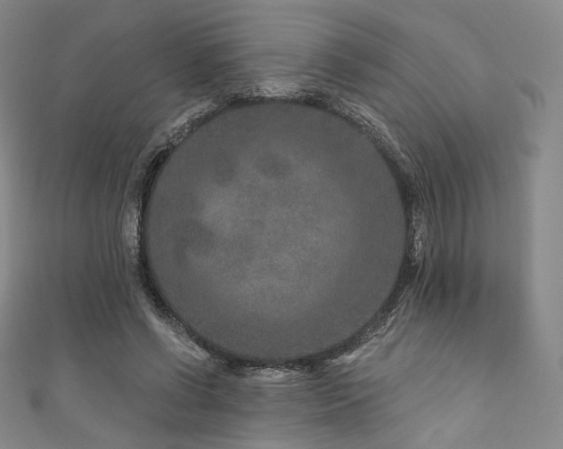 X0000111870542200907231514