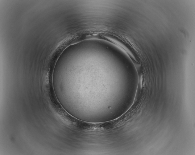X0000111870543200907231514