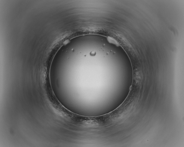 X0000111870544200907231514