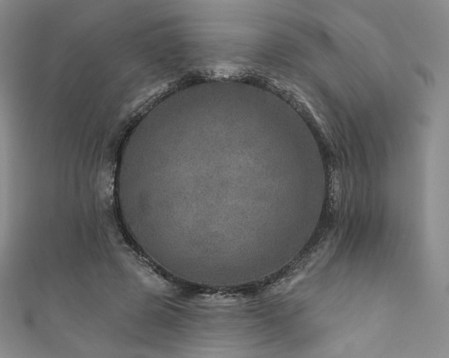 X0000111870545200907231514