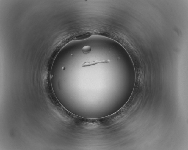 X0000111870548200907231514