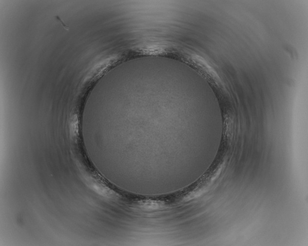 X0000111870549200907231514