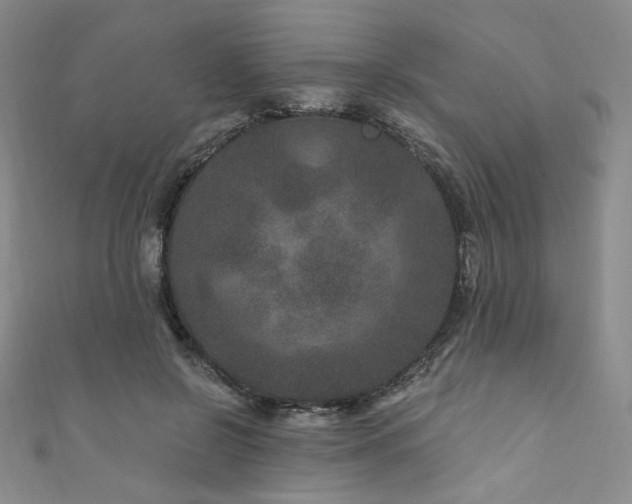 X0000111870550200907231514