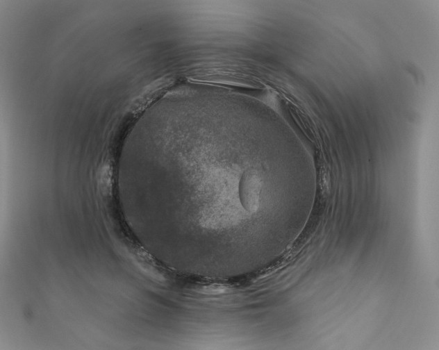 X0000111870551200907231514