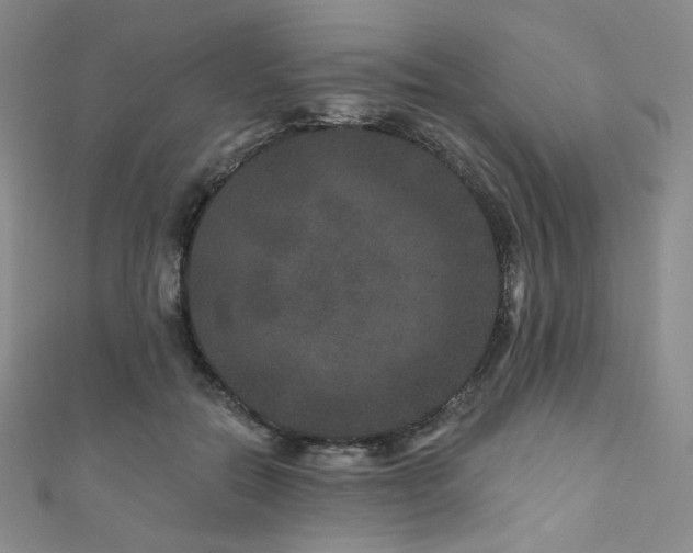 X0000111870554200907231515